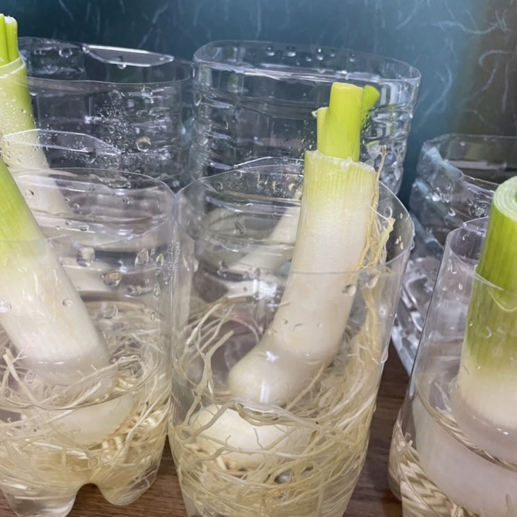  5월 두번째 날