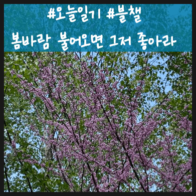  봄날 바람불고 햇살 따듯하면 그저 좋아라