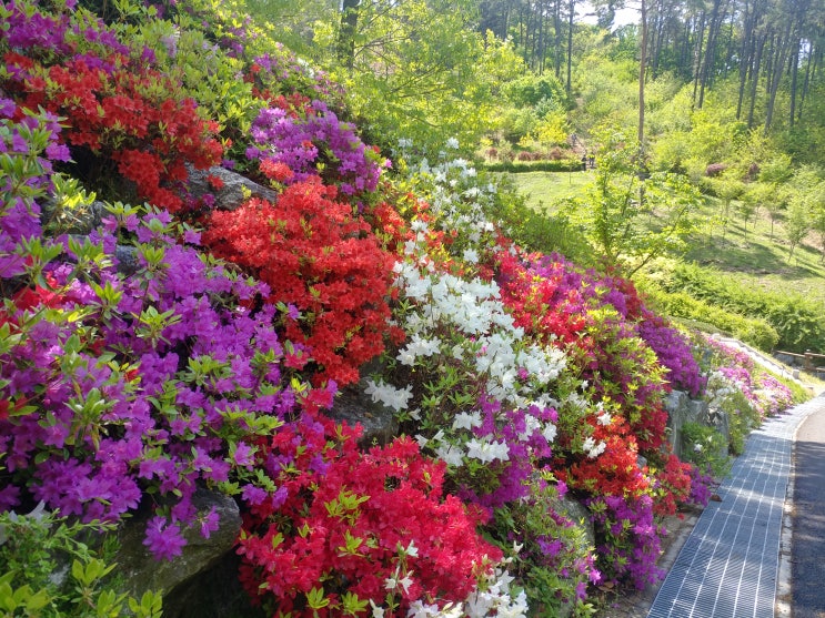  파주 율곡수목원 가정의달 5월의 풍경