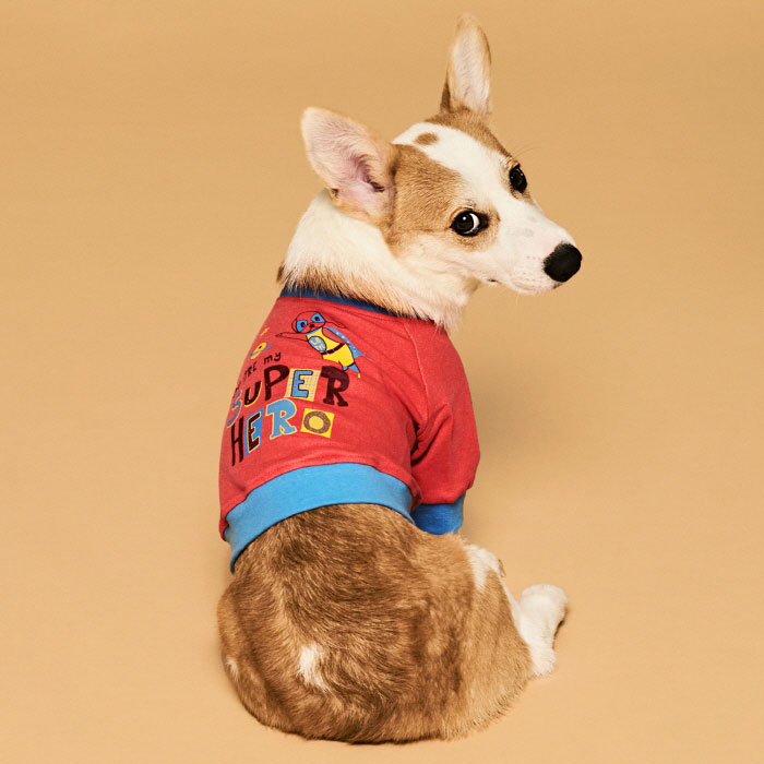 핵가성비 좋은 포독스 라떼 슈퍼히어로 크롭 맨투맨 강아지 티셔츠, RED 추천해요