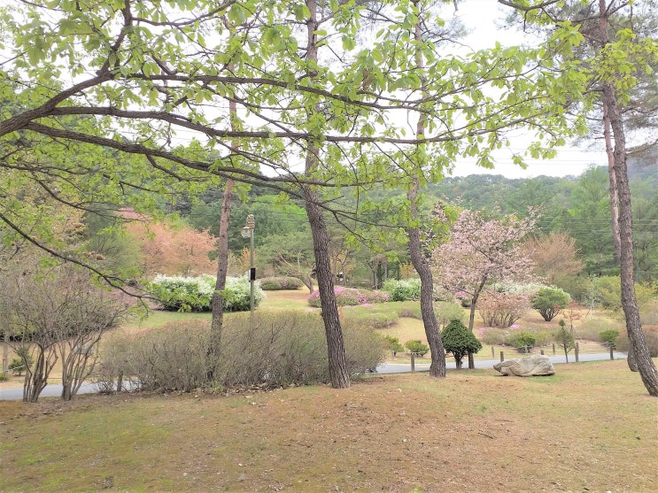  멋진 풍경으로 이름난 홍천의 사찰.   공작산 수타사(壽陀寺)