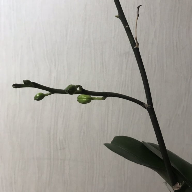  [DIARY] 오늘의 일기 : 2021-05-02