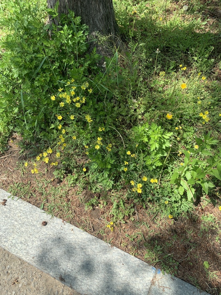  May.2 오늘일기