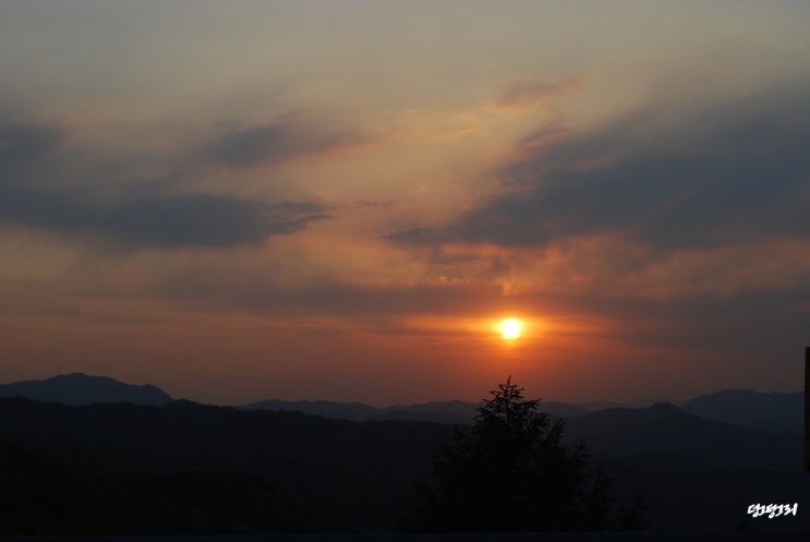  블로그챌린지 5월 2일 오늘일기 / 동네산책로
