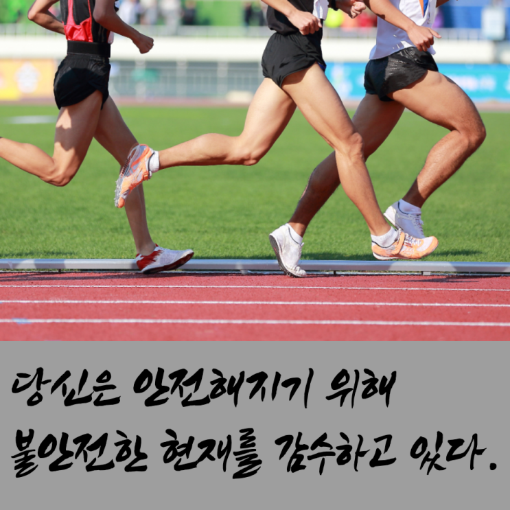  사람들이 그토록 원하는 안정성, 그것은 독이다.