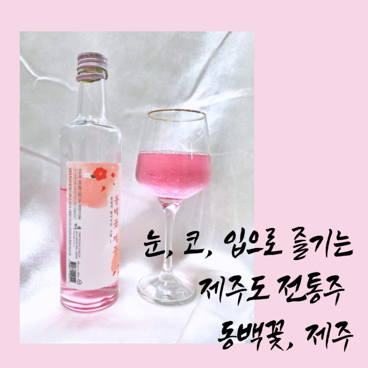 동백꽃제주 : 눈, 코, 입으로 즐기는 제주도 전통주