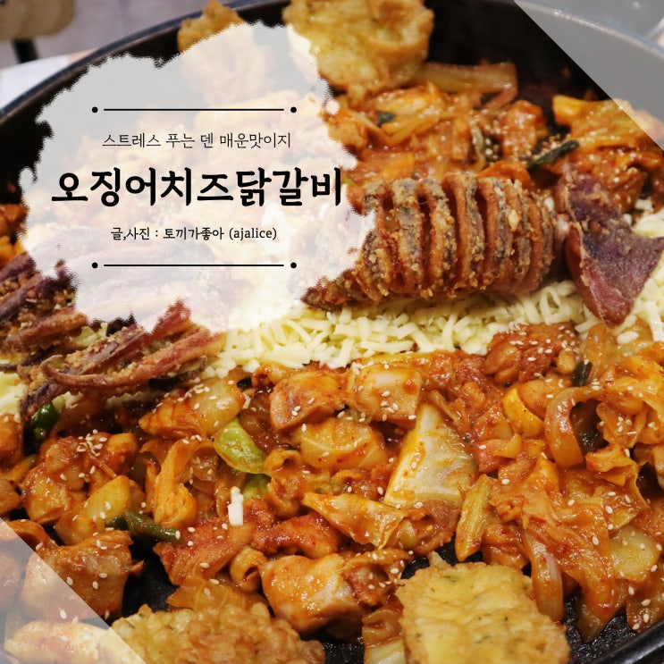 대전 가수원동맛집 오징어치즈닭갈비에 반했어 대전 가수원동맛집 오징어치즈닭갈비에 반했어
