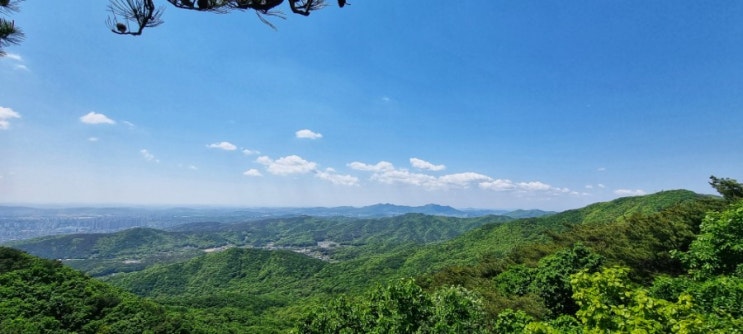  산행은 비가 갠 뒤에..