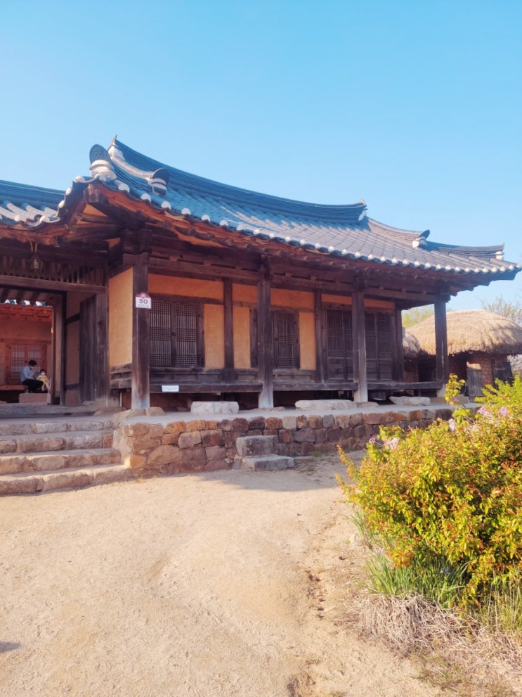  대구근교여행/안동 화회마을의 봄