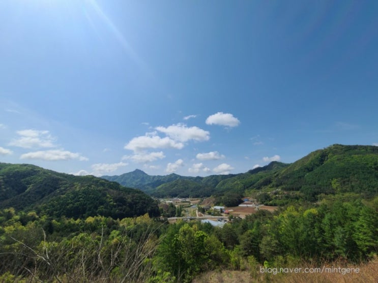  매일매일챌린지 시즌1, 블로그챌린지, <오늘일기> 2일차