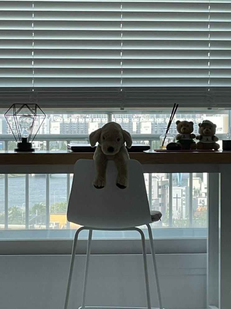  오늘의 일기