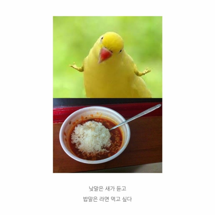  [일기] 5월 2일 일요일