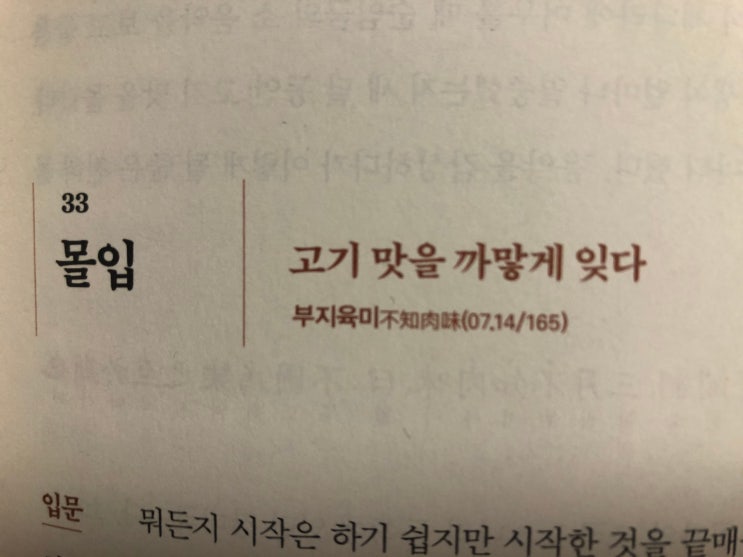33. 몰입 - 고기 맛을 까맣게 잊다. 부지육미(不知肉味)(07.14/165)
