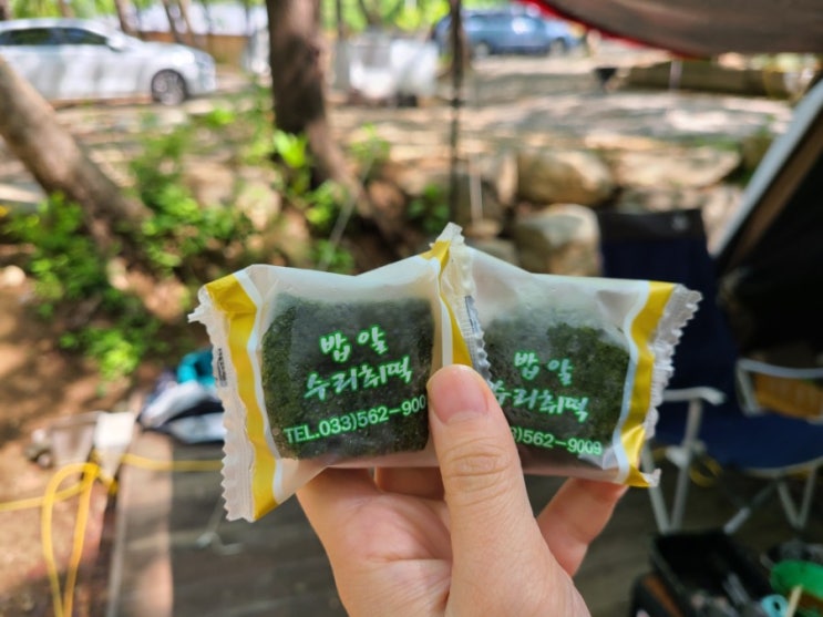맛있는떡 떡택배받아 아침대용떡 수리취떡 맛있는떡 떡택배받아 아침대용떡 수리취떡