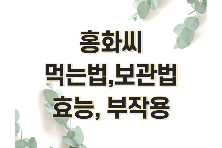  홍아씨, 홍화씨 효능, 먹는법, 부작용 정리 (홍화씨유, 홍화씨 기름, 관절, 뼈, 잇꽃씨)