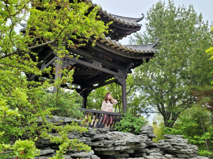 수원 월화원 : 사진찍기 딱 좋은 이국적인 중국식 정원