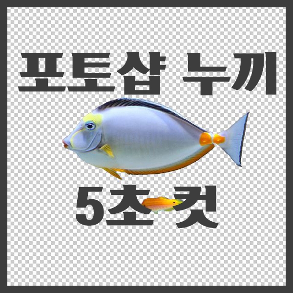 포토샵 누끼 따는 방법 5초 컷 (개체선택도구)