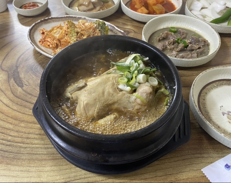  [부산 기장 맛집] 팔도삼계탕_가족단위 건강식