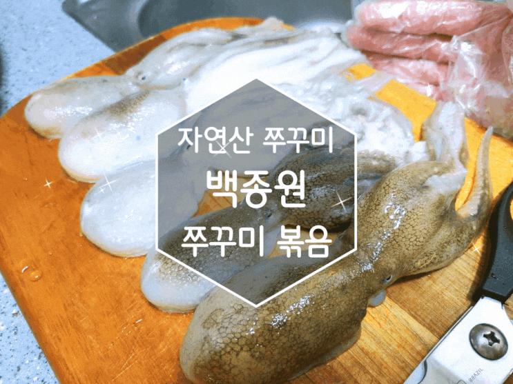  자연산 쭈꾸미 손질부터 제철맞이 옹진자연 백종원 쭈꾸미볶음