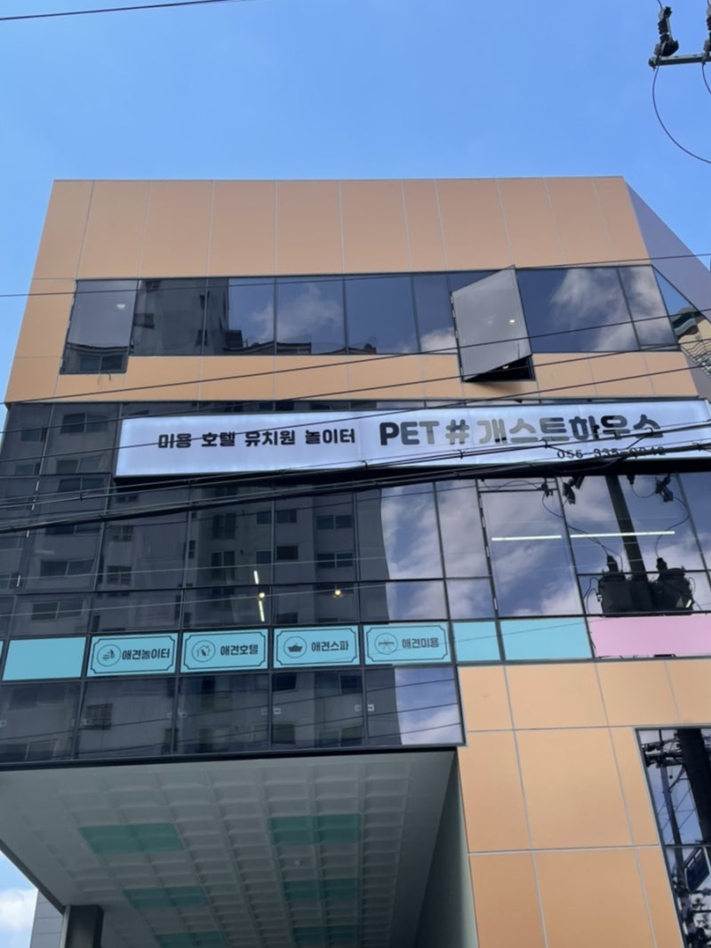 사진 3