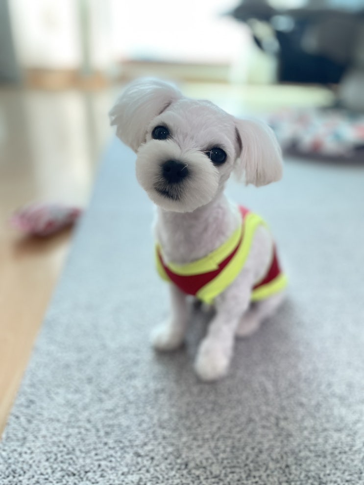  오늘일기_20210502