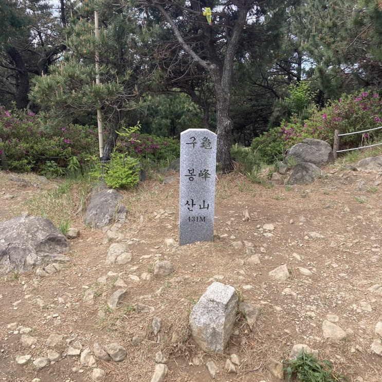  [2021. 05. 02] 오늘의 일기