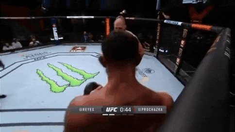 UFC on ESPN 23: 레예스 vs 프로하즈카 리뷰(GIF) - 광전사 모드로 타이틀 도전자 등극
