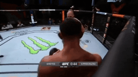 UFC on ESPN 23: 레예스 vs 프로하즈카 리뷰(GIF) - 광전사 모드로 타이틀 도전자 등극 UFC on ESPN 23: 레예스 vs 프로하즈카 리뷰(GIF) - 광전사 모드로 타이틀 도전자 등극