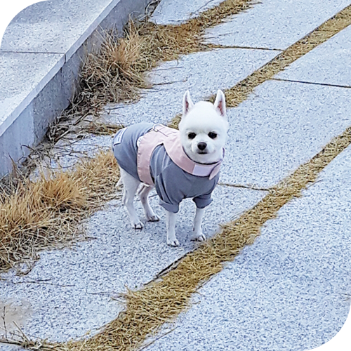  흐렸다 쨍했다 날씨가 오락가락