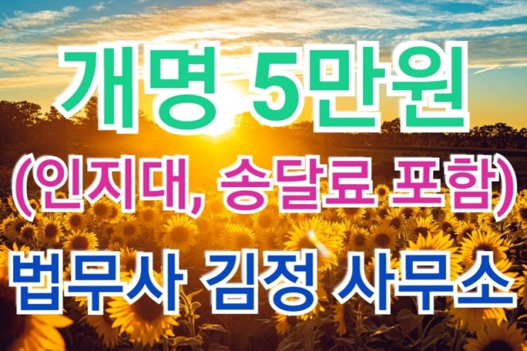 창원, 나주, 여수 최근 개명신청 허가사례-개명 전문 법무사