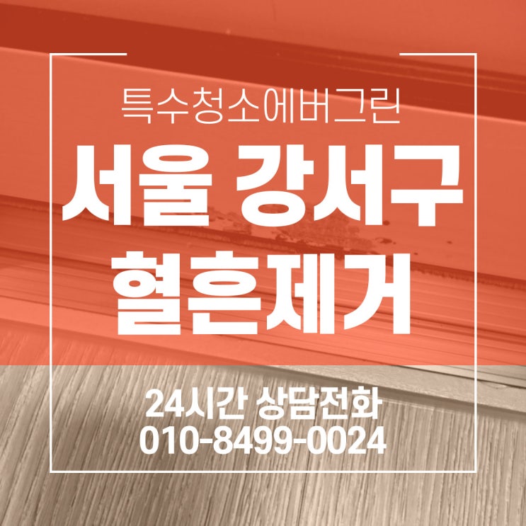  서울 강서구 특수청소 - 8평 원룸주택 혈흔 제거