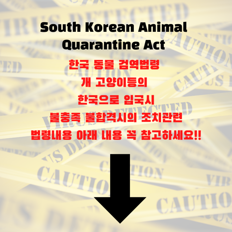  강아지입국 출국 반려견입국 동물검역  반려동물사전체크 서비스