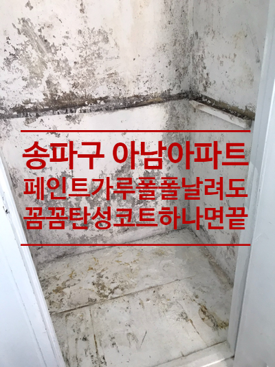  송파구 마천동 아남아파트 심각한 곰팡이 페인트박리 탈탈 털어 새 베란다 만들기/이보드 시공 탄성코트 세라믹까지