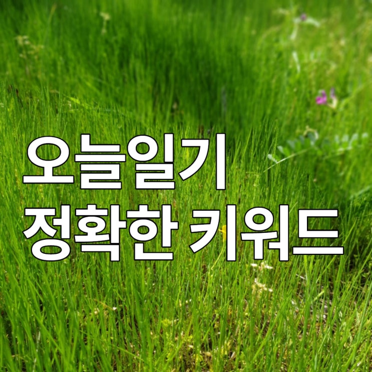  #블챌 #오늘일기 챌린지 정확한 키워드