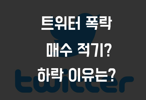 [해외 주식] FNGU 비중 최대 트위터 급락! 하락 이유는? 지금 사도 될까요?