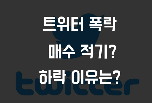  [해외 주식] FNGU 비중 최대 트위터 급락! 하락 이유는? 지금 사도 될까요?