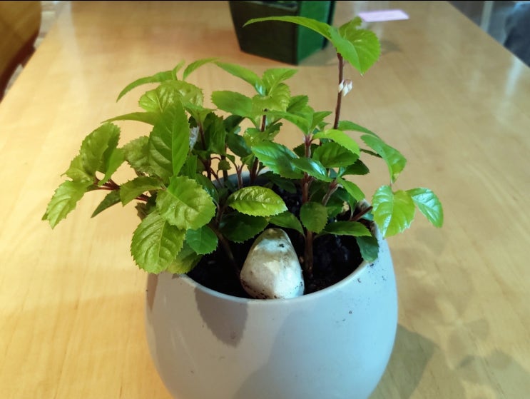  오늘일기 블챌 3일차 도전