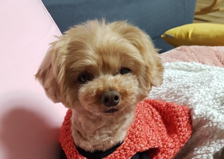  보통일상 오늘일기 20210503