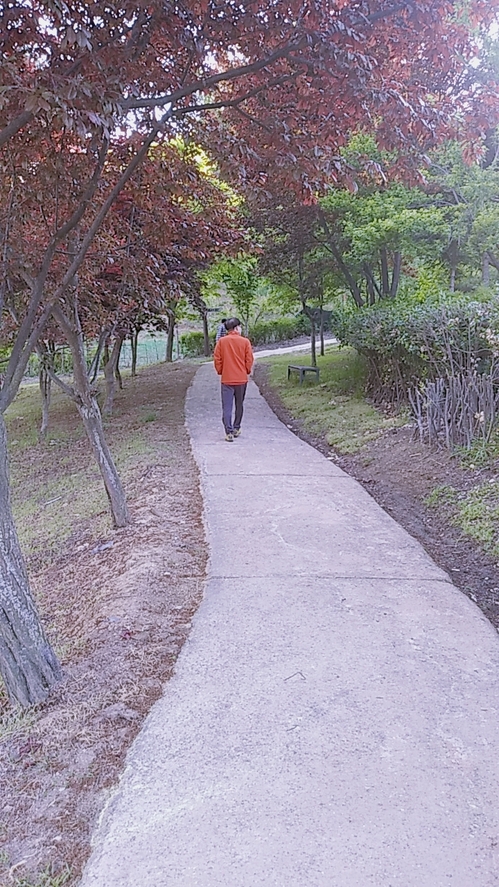  5월 3일 월요일~ 등산했더니 몸이 가쁜해졌어요.