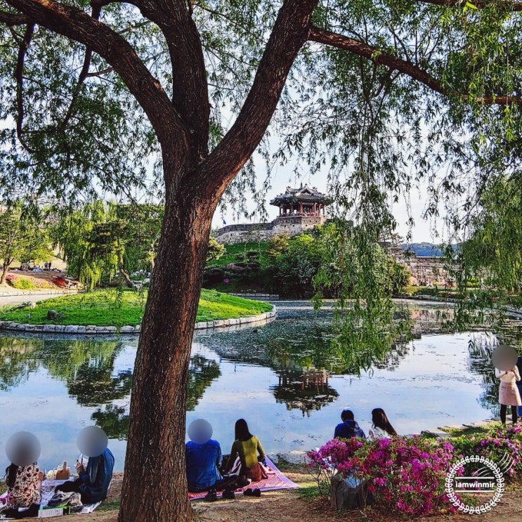 수원 화성 장안문 &gt; 창룡문 &gt; 팔달문 동쪽 코스로 반바퀴 산책