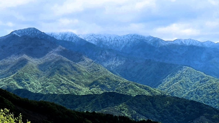  5월에 지리산에 눈이 내렸다 하네요.