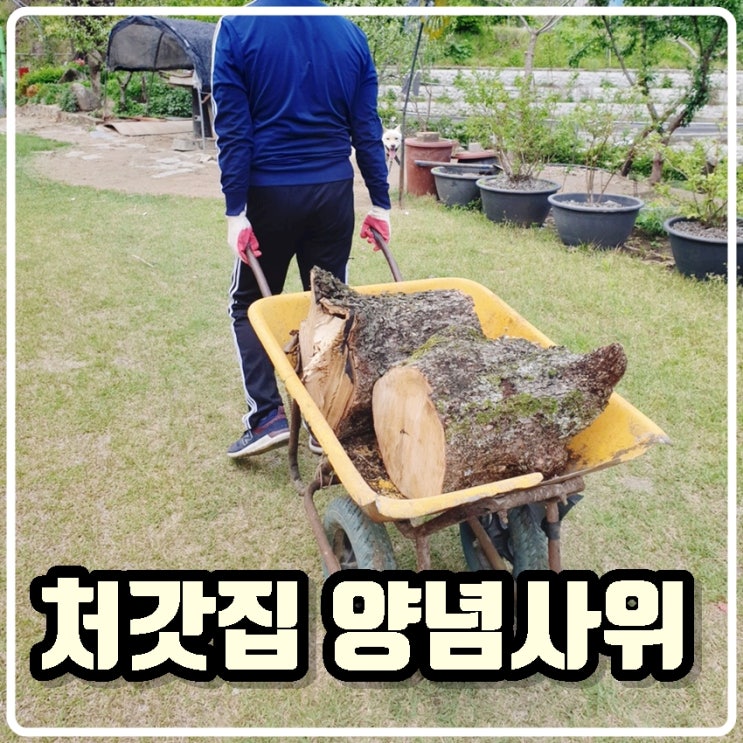 [처갓집 양념사위] 구루마(수레)로 통나무 나르기