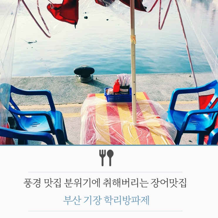 [풍경 맛집] 분위기에 취해버리는 장어맛집. 부산 기장 학리 수산물판매센터