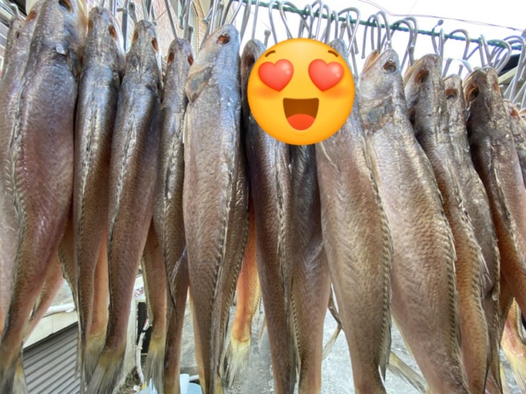  통영댁 반건조 민어 요리