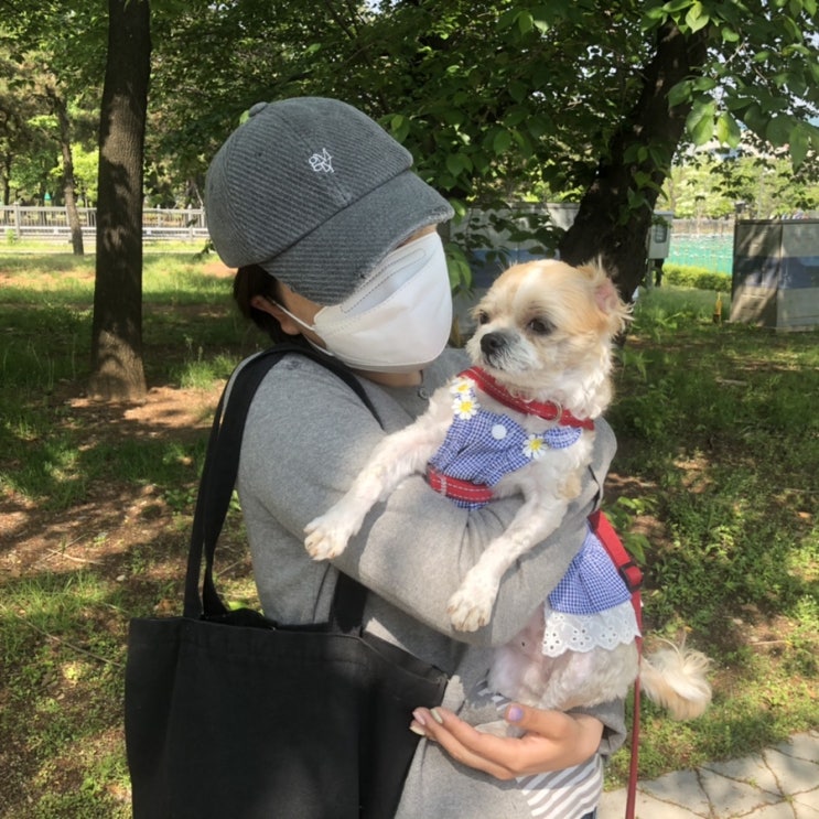  오늘일기 3일차