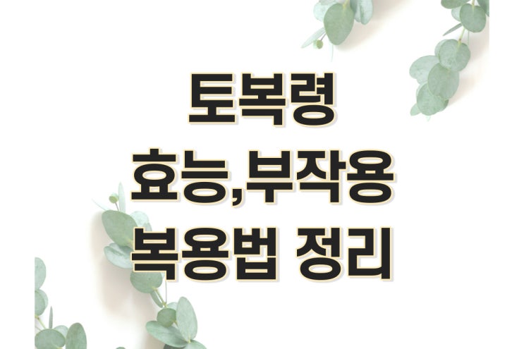  토봉령, 토복령차 효능, 먹는법, 부작용 정리 (토복령주 담그는법, 망개나무뿌리, 청미래덩굴)