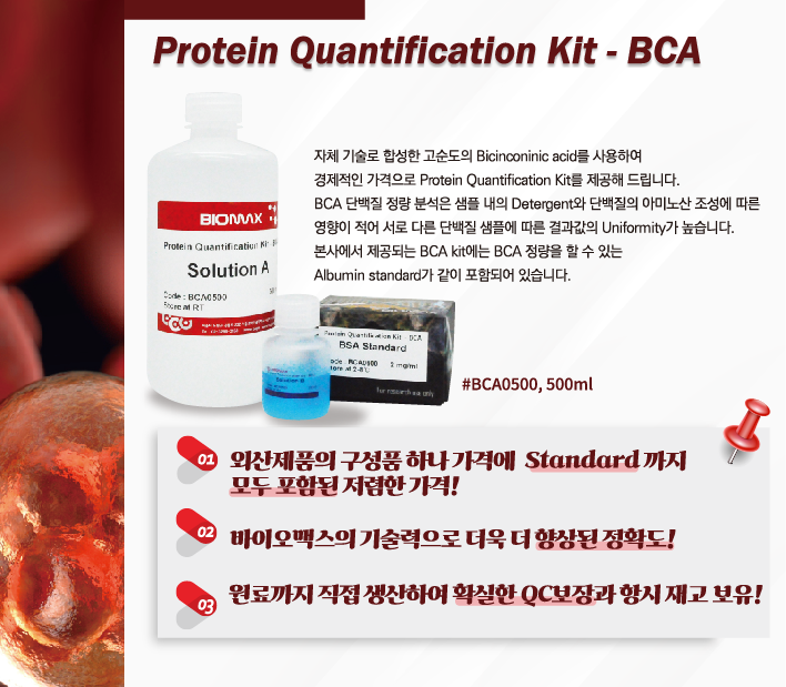  Protein Quantification Kit - BCA