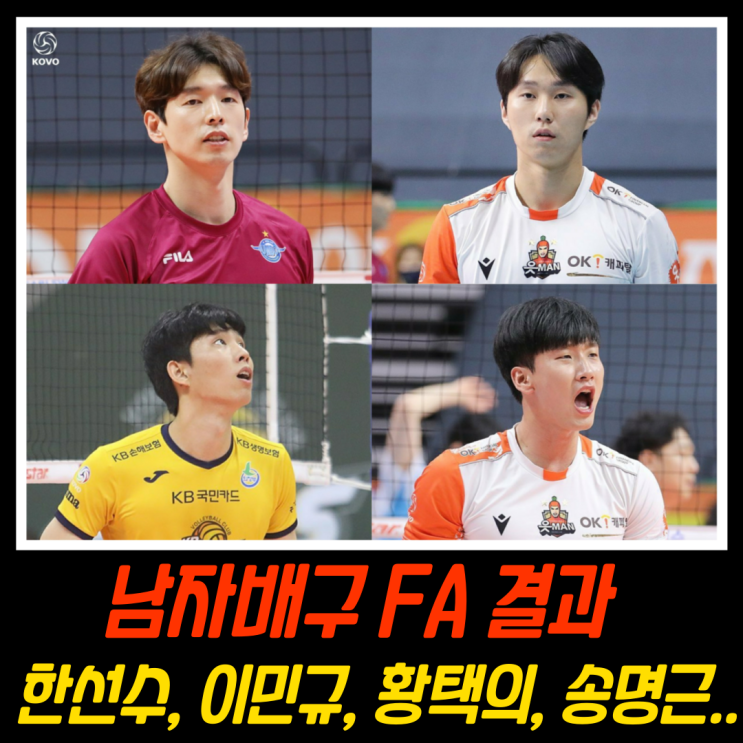 <b>남자</b> 프로<b>배구</b> <b>FA</b> - 한선수, 이민규, <b>황택의</b>, 송명근, 하현용... 