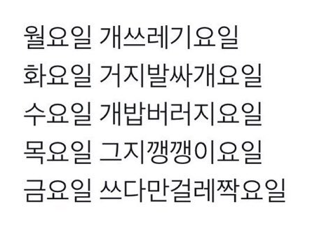  5/3 일기
