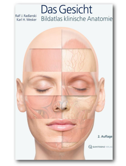  [독어단어장] Face/das Gesicht/얼굴 - People/die Menschen/사람들
